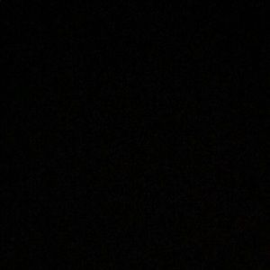 Meet your Posher, Adel